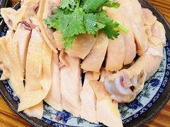 -九斤黄三黄鸡专卖店