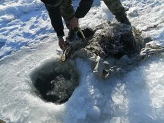 -北极村旅游风景区