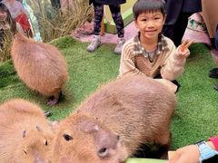 -正佳雨林生态植物园