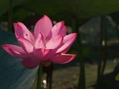 -北海公园