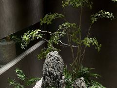 -梁溪河畔·吉府花园(南长街南下塘店)