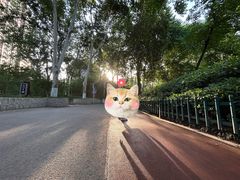 -西安市长乐公园