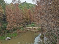 -云溪植物园