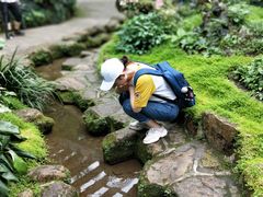 -深圳仙湖植物园-停车场