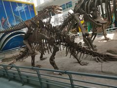 -中国地质大学逸夫博物馆