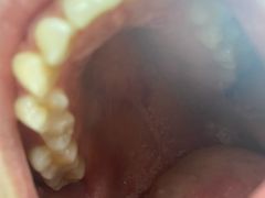 -泰康拜博口腔·二级专科医院(种植·正畸·修复·联合中心)