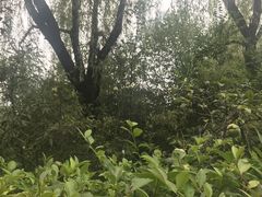 -城市运动公园(未央区)
