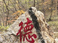 -大连天门山国家森林公园