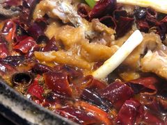 -老板恋上鱼(恒隆广场店)