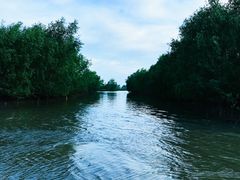 -东寨港红树林旅游区