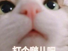 -昊·来了寿司(双楠2店)
