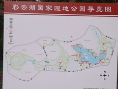 -重庆彩云湖湿地公园