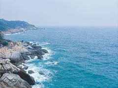 -广东惠东海龟国家级自然保护区