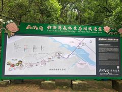 -南海湾森林生态园