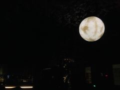 -蓝鲸湾汤泉(包河店)