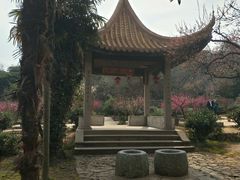 -雨花胜境