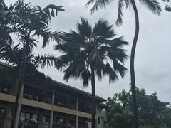 -普吉岛卡塔阿维斯塔诺富特酒店度假村