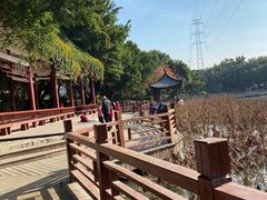 -光明港公园