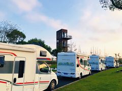 -春花秋色城市公园