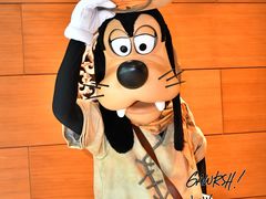 -云龙轩(迪士尼探索家度假酒店)