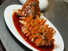 -RIVIERA 松鹤楼(外滩店)