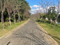 -上海海湾国家森林公园