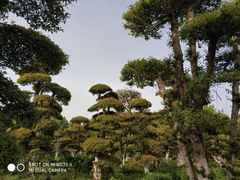 -武汉紫薇都市田园