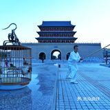 河西走廊之行，武威，是必去城市之一