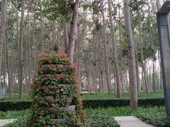 -仁和公园(顺义区)