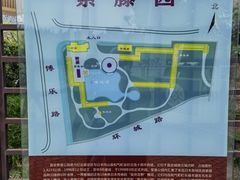 -嘉定紫藤园