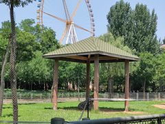 -石家庄市动物园