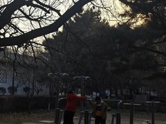 -锦绣公园