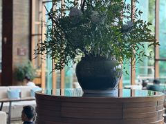 -逸廊大堂吧-下午茶·简餐-千岛湖自由洲际殿