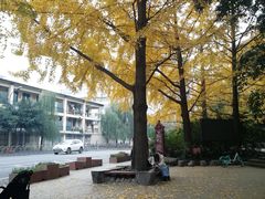 -成都市活水公园