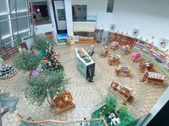 -济州岛泰迪熊博物馆