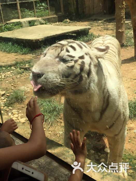 南寧市動物園圖片 - 第113張