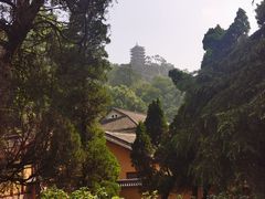 -缙云山景区