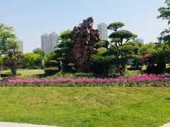 -汉水公园