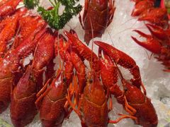 -京悦南门涮羊肉·羊蝎子火锅(田林路店)
