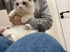 -立德动物医院·24小时中心(番禺区院区)