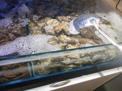 -四海蒸鲜蒸汽海鲜自助(北戴河店)