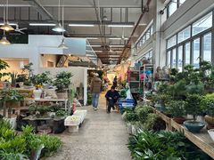 -双季花艺园艺市场(浦东店)