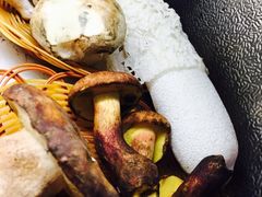 -江川野生菌火锅铜锅鱼(贵清火锅店)
