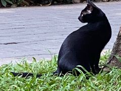 -广州珠江公园