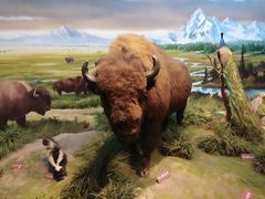 -陕西自然博物馆