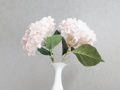 -浦江悦(陆家嘴保利广场店)