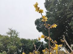 -无锡梅园公园