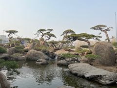 -罗红摄影艺术馆