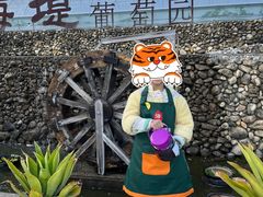 -海堤葡萄园中小学生研学基地