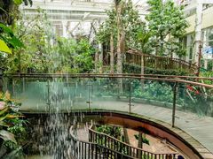 -正佳雨林生态植物园